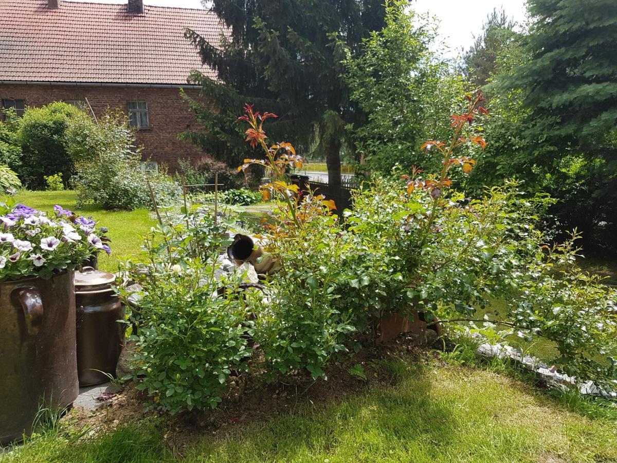 Wczasowisko Karola Apartment Lubomierz  Bagian luar foto
